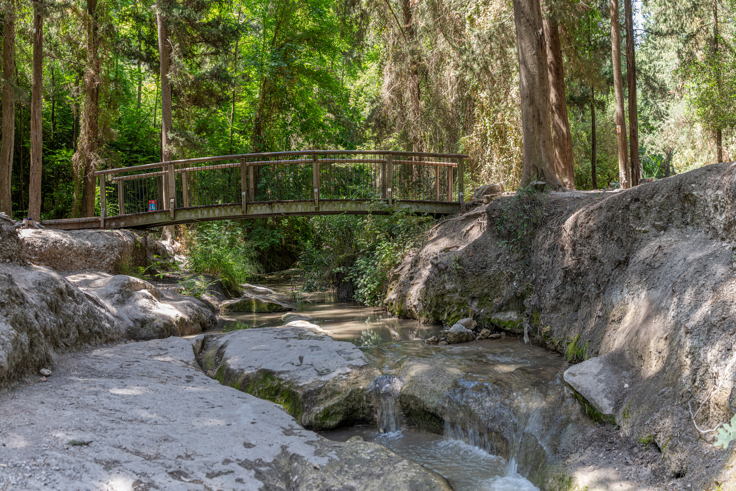 Wooden bridge over Nahal Hashofet stream at Ramot Menashe Forest in Israel